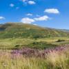 Pen-y-cae的住宿加早餐旅馆