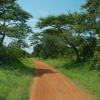 Gulu