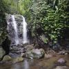 Canungra