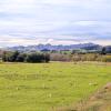 Cheviot