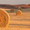 Wetaskiwin