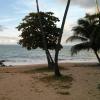 Loiza