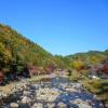 丰田市
