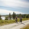 Timrå
