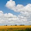 Hearne