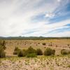 Chino Valley