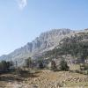 Cadrete