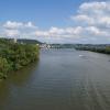 Belle Vernon