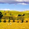 Blayney