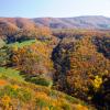 Buckhannon