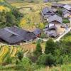 和平乡的住宿加早餐旅馆