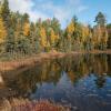 Shawano