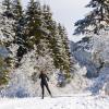 勒森蒂埃的滑雪度假村