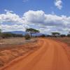 Tsavo