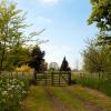 Dersingham