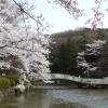 町田市的旅馆