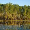 Lake Bennett