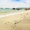 立咯海滩