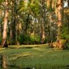 Westwego