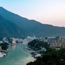 瑞诗凯诗 244家宠物友好酒店