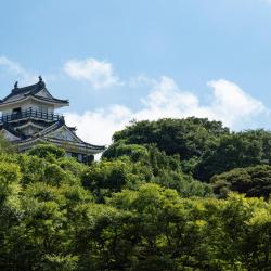 滨松