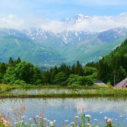 长野