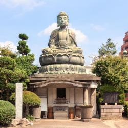 宇都宫