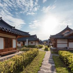 江陵市