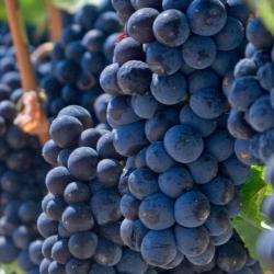 阿伦克尔 15家带泳池的酒店