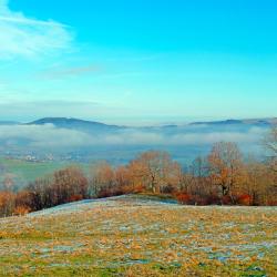 萨勒河畔巴特诺伊施塔特 27家住宿