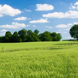 伦敦 10家带停车场的酒店