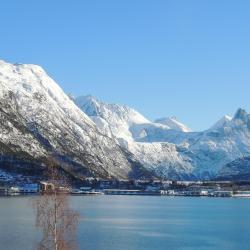 Isfjorden 7家别墅