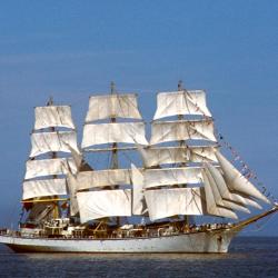 代尔夫宰尔 3家宠物友好酒店