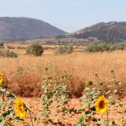 洛哈 16家带停车场的酒店
