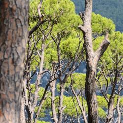 Ḩammānā 3家带停车场的酒店