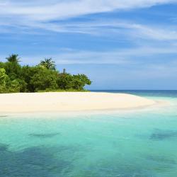 Green Turtle Cay 1家酒店