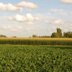 Harelbeke 9家带停车场的酒店