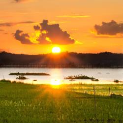 塔奈 15家带停车场的酒店