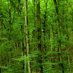 巴伦施泰特 4家带泳池的酒店