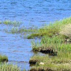 Seehausen 8家带停车场的酒店