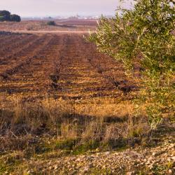 瓦拉雷伊 3家低价酒店