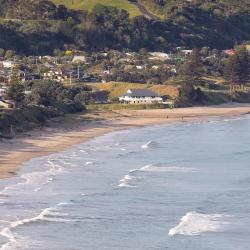Wainui 1家酒店