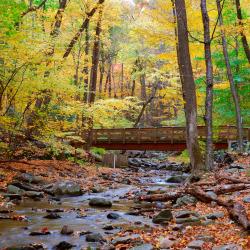 布劳施泰因 21家住宿