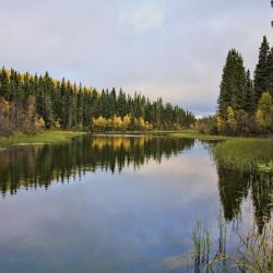 Waskesiu Lake 1家酒店