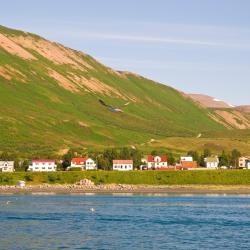 Ólafsfjörður 4家酒店
