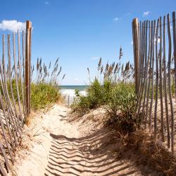 North Point 3家宠物友好酒店