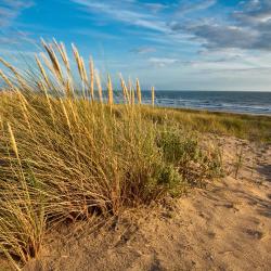 滨海布雷蒂尼奥勒 183家住宿