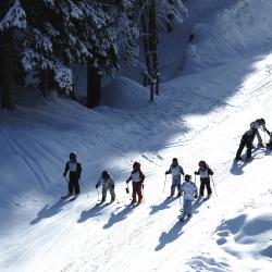 大白山 99家滑雪度假村