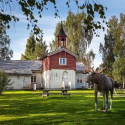 Koppang 7家带停车场的酒店