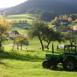 魏森霍恩 11家住宿